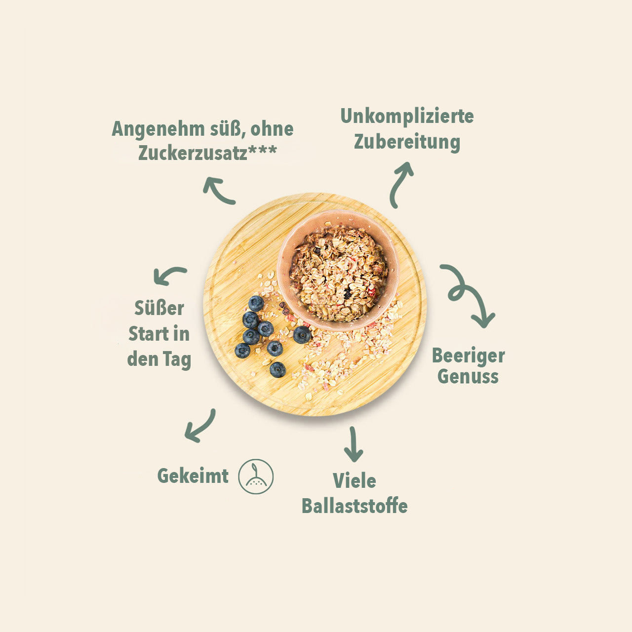 WE007_Gekeimtes_Beerenporridge_Shopbild_2