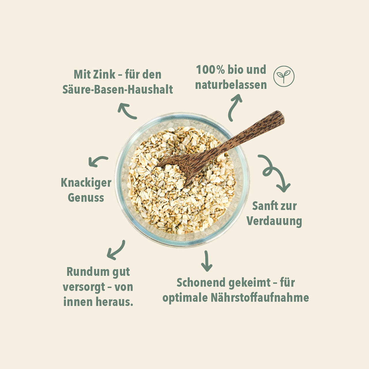 WE017_Probierpaket_Gekeimte_Mueslis_Shopbild_2