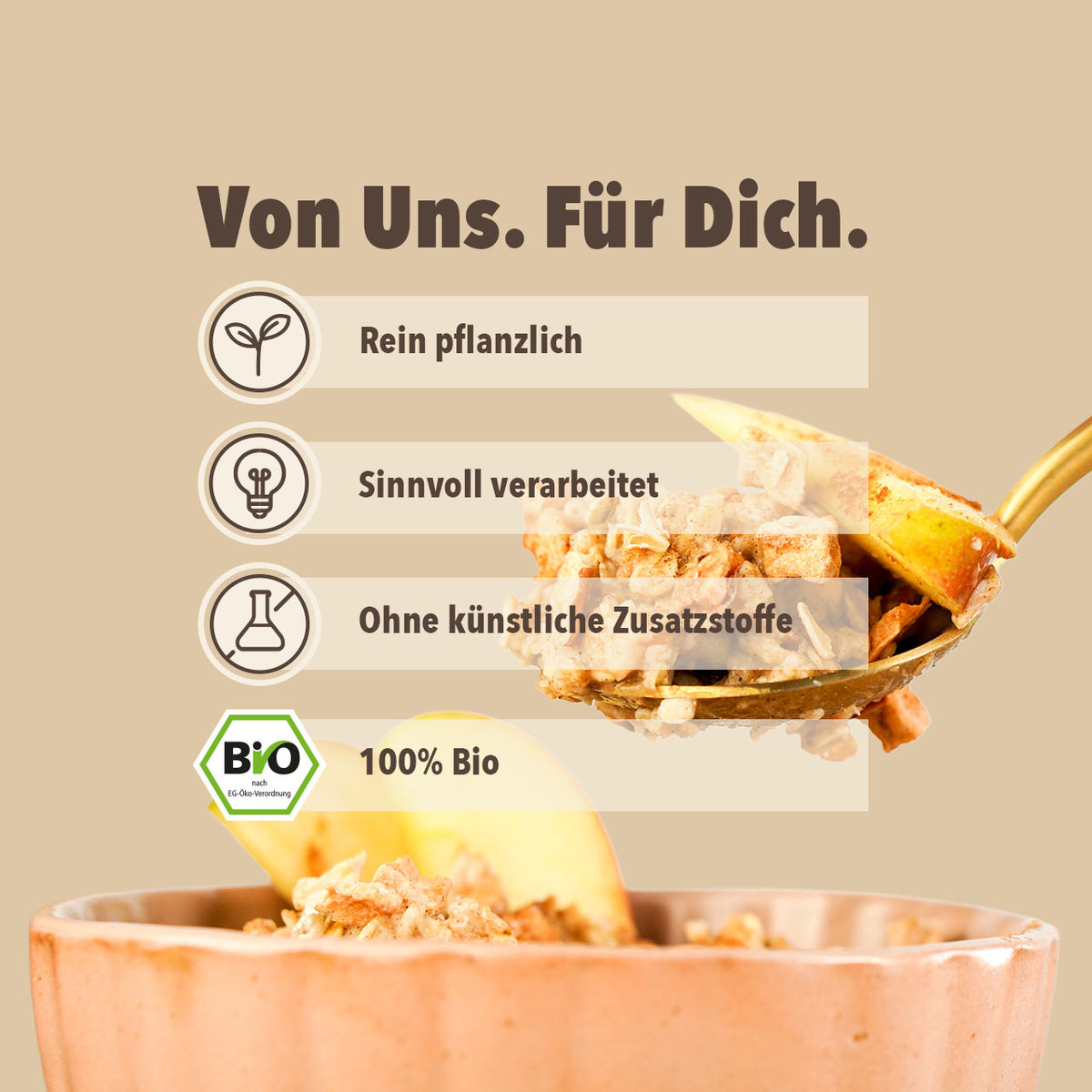 WE077_gekeimtes_Apfel_Zimt_Porridge_Shopbild_4