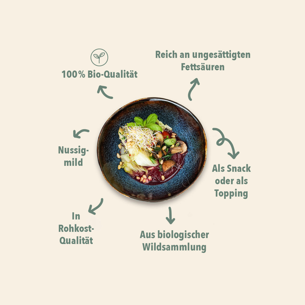 WE080_Zedernuesse_Shopbild_2