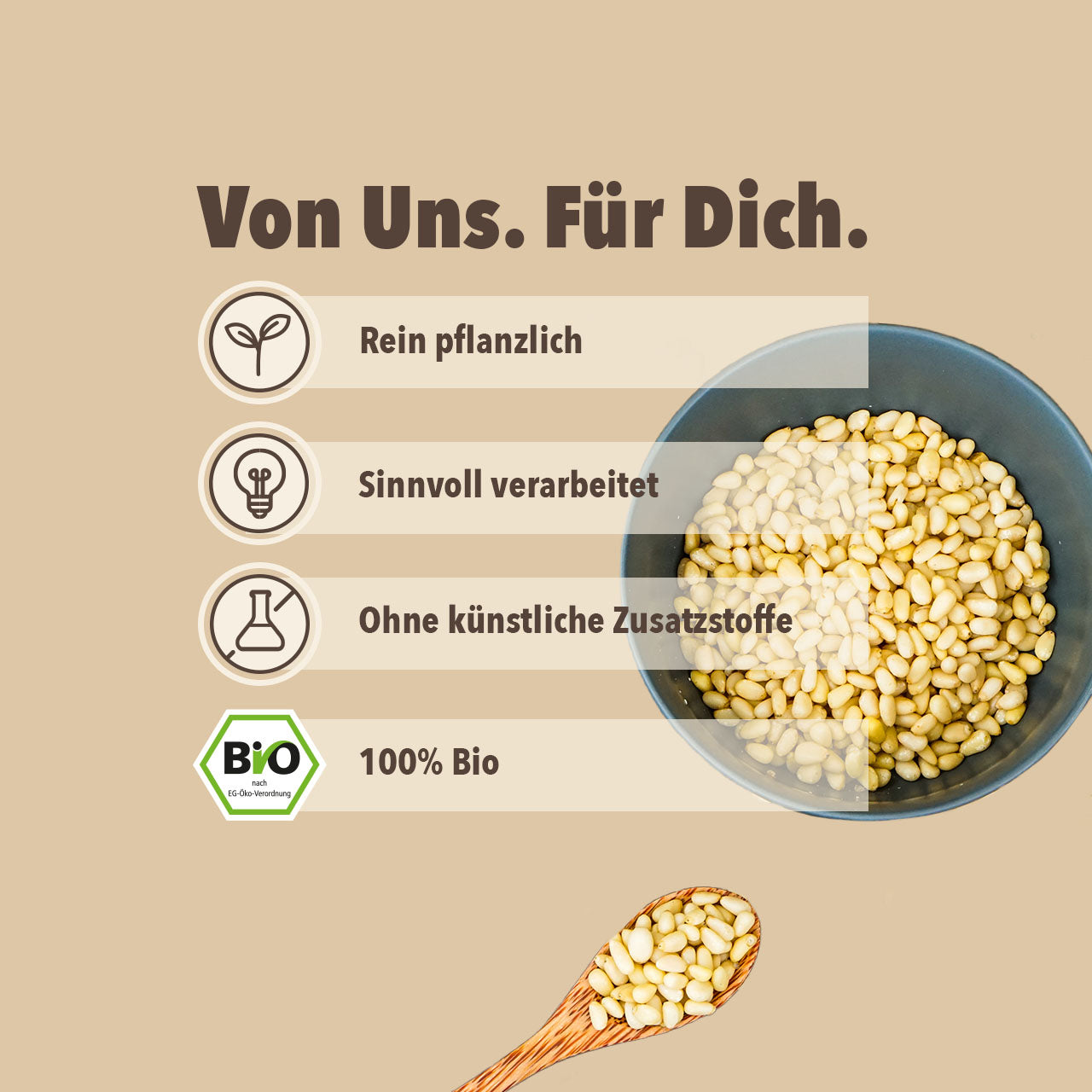 WE080_Zedernuesse_Shopbild_4