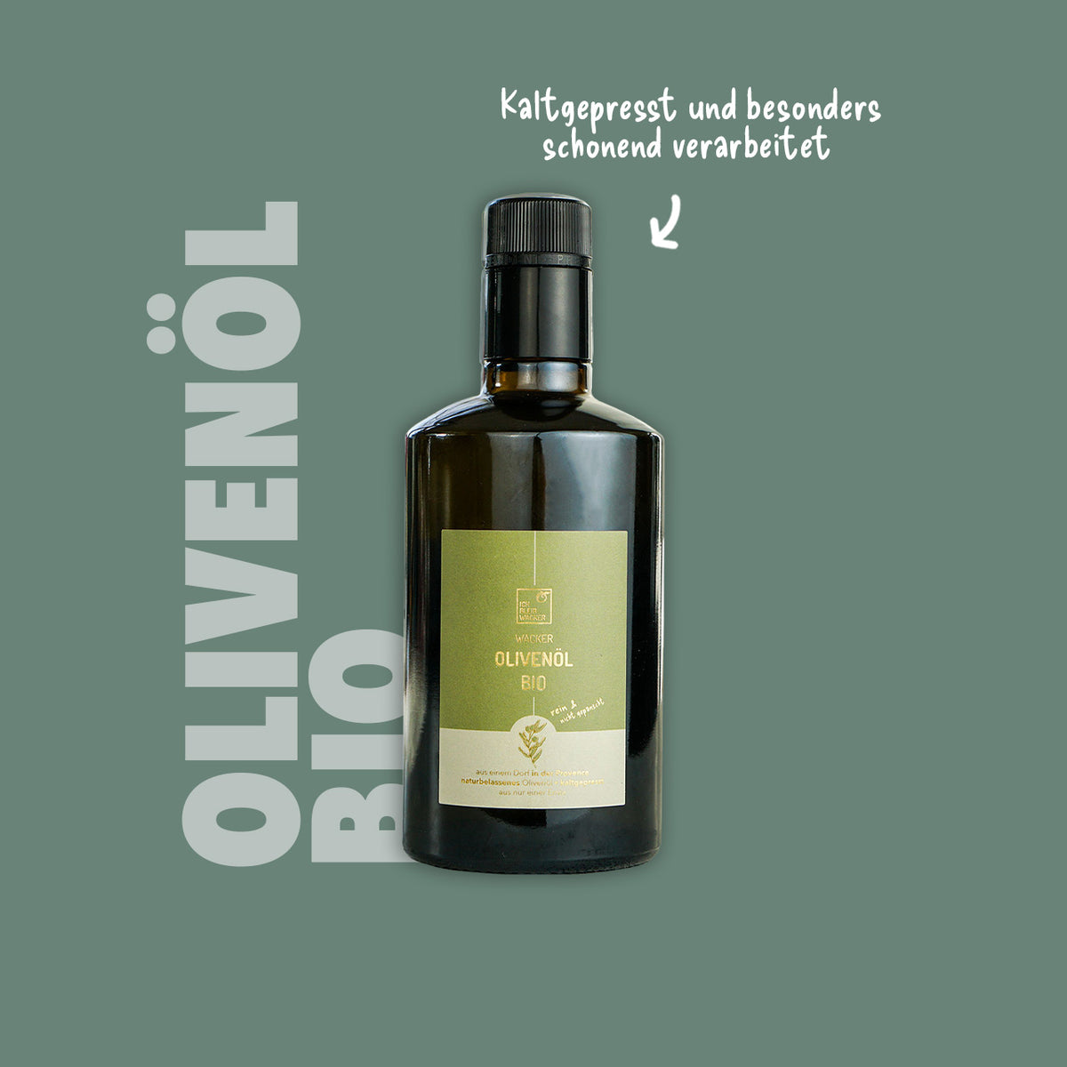 WE240_Olivenoel