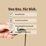 WE389_Algen_Shot_Shopbild_4