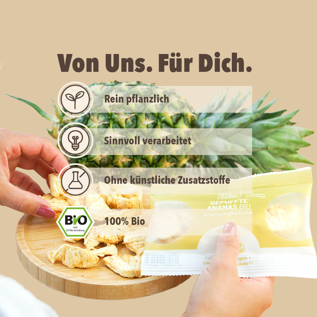 WE402_Gepuffte_Ananas_Shopbild_4